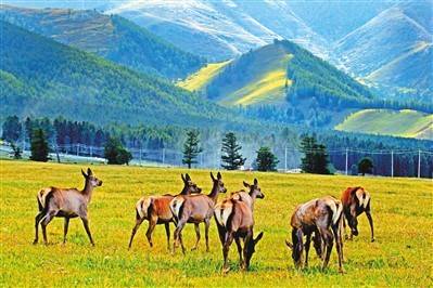 分區管控 生態更美 新疆環保