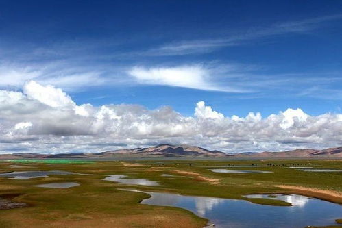 人間禁地可可西里 新疆環保的挑戰與守護