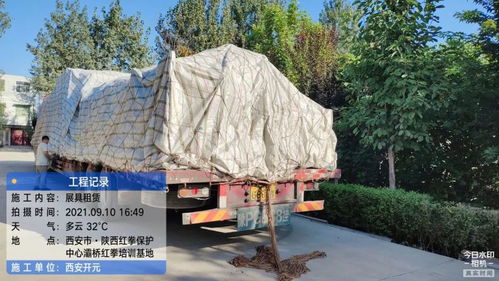 開元展覽 環保展具跨越山海，綠色理念扎根新疆