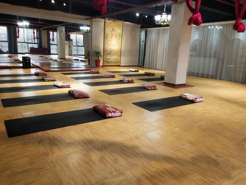 暖豐石墨烯電熱膜地暖 瑜伽館、養生館與健身房的應用優勢及研發進展