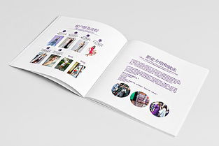 深圳市頂點(diǎn)企業(yè)形象策劃 安娜品牌形象色彩與畫冊(cè)設(shè)計(jì)解析