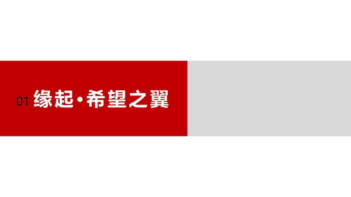 引領(lǐng)行業(yè)發(fā)展，彰顯卓越實(shí)力——企業(yè)形象宣傳片策劃方案
